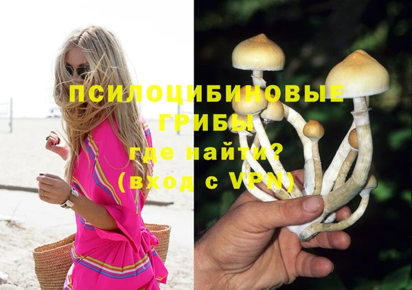 спайс Абинск