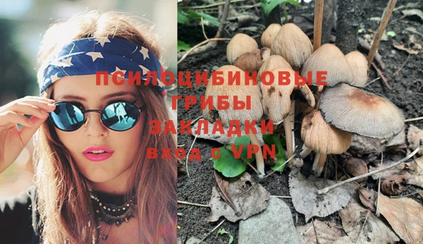 круглые Алзамай