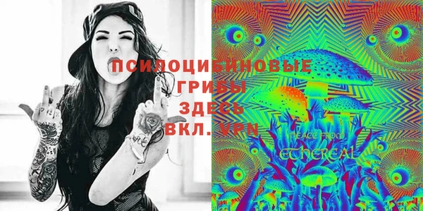 круглые Алзамай