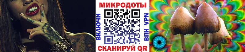 Псилоцибиновые грибы Psilocybe  купить наркоту  Чебоксары 